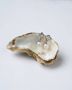 A pair of silver-tone earrings with round freshwater pearls displayed on a oyster shell.