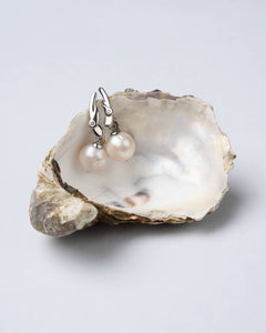 A pair of freshwater pearl earrings with silver-tone latch-back clasps, displayed on a oyster shell.